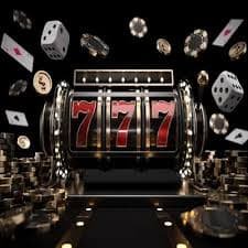 the thao 7m